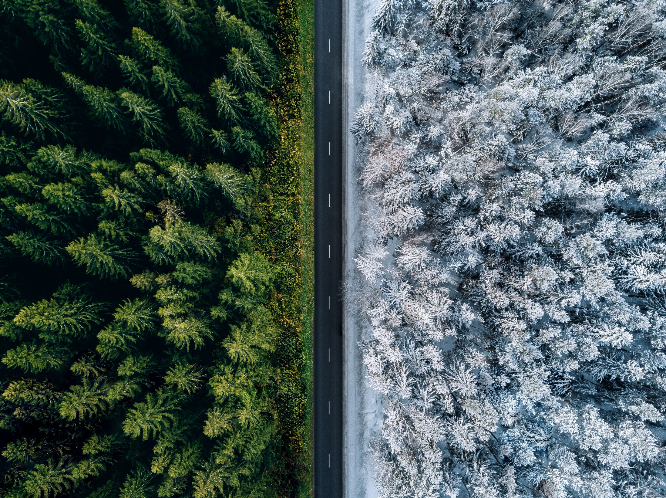 Climate Change Cold Chain