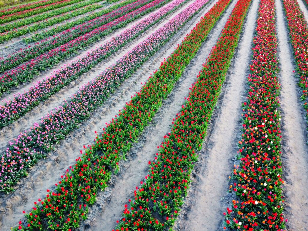 Perishables Logistics