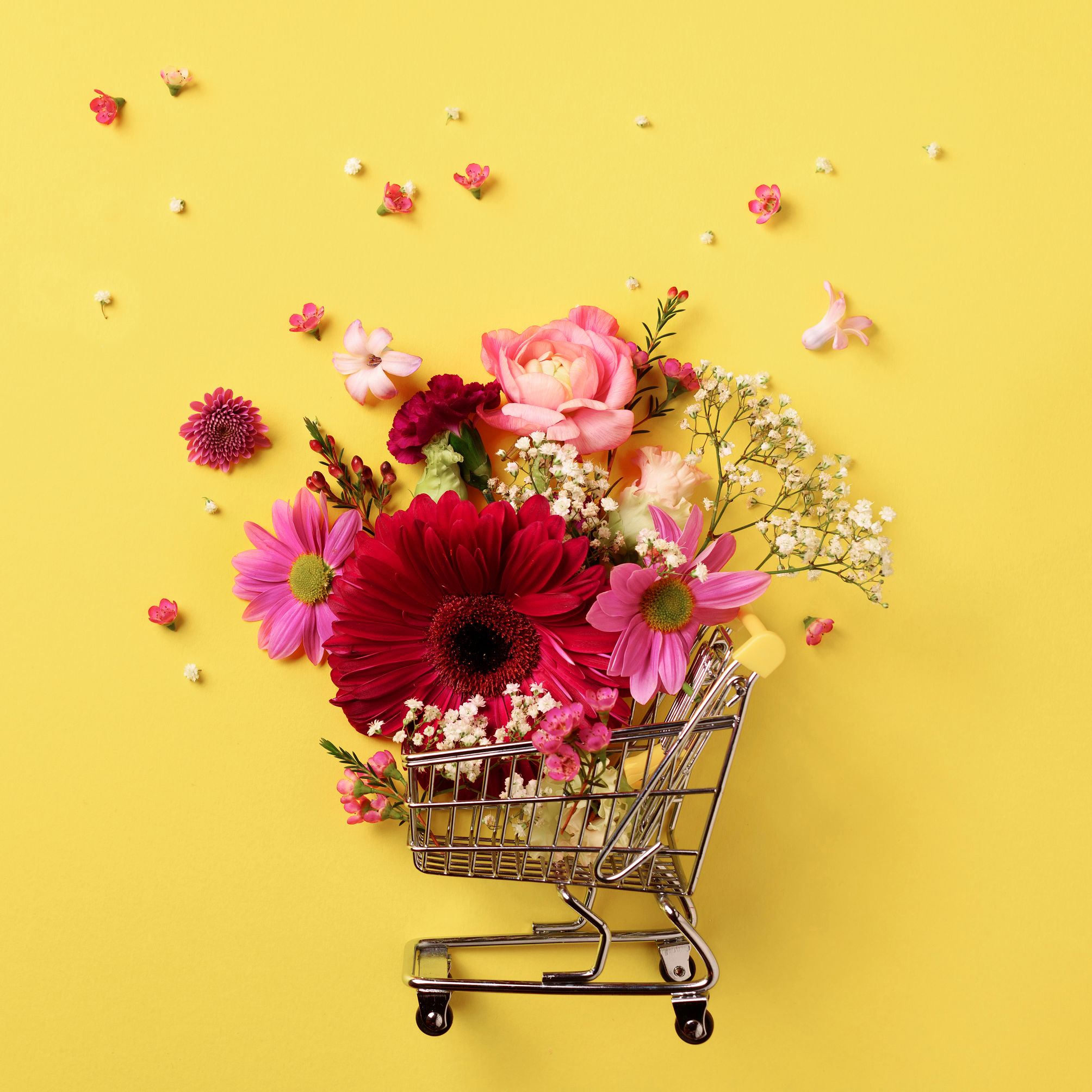 Fragile Cargo Shipping