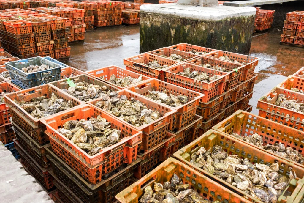 California Perishables Logistics