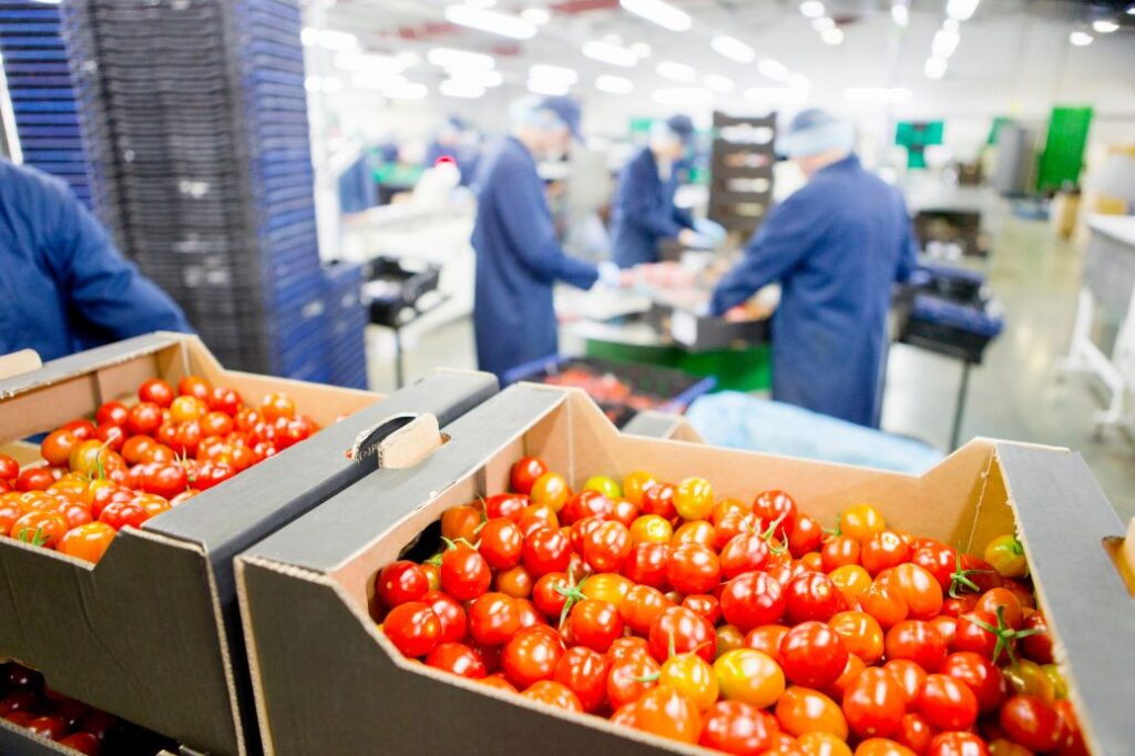 Cold Chain Providers