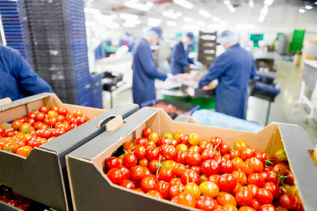 Cold Chain Providers