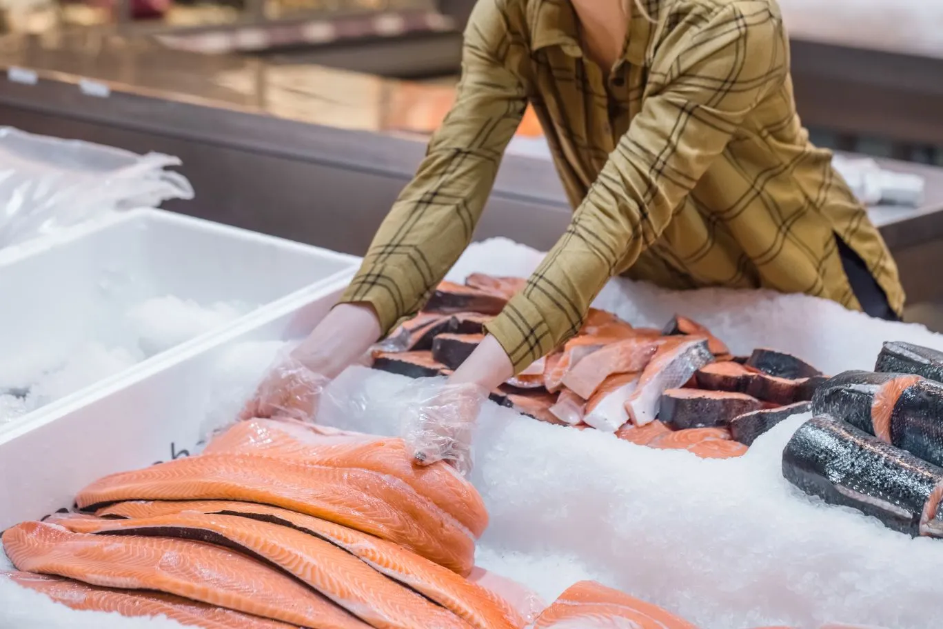 Seafood Logistics