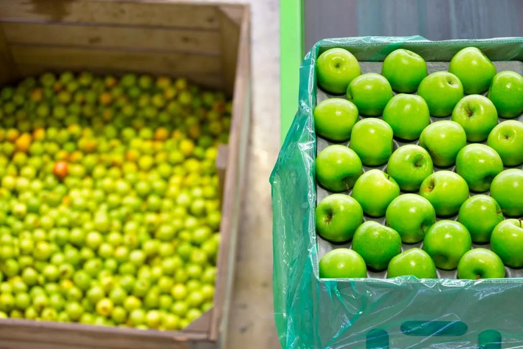 Produce Logistics